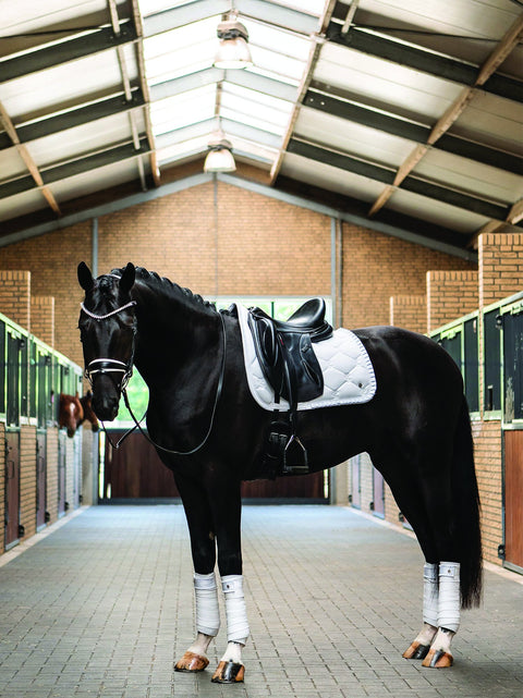 PS of Sweden Ruffle Dressage Saddle Pad