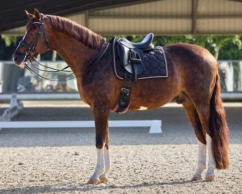 RI LUXURY DRESSAGE PAD