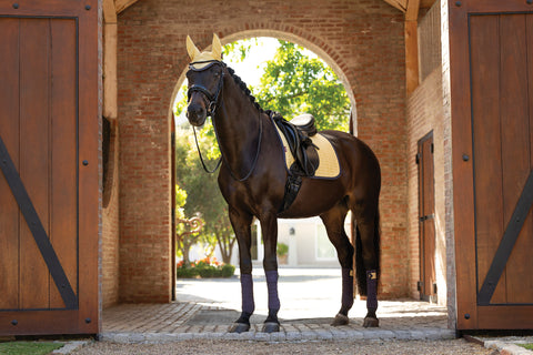 LeMieux® Suede Dressage Pad