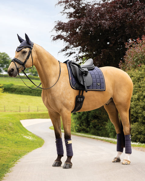 LeMieux® Loire Dressage Pad