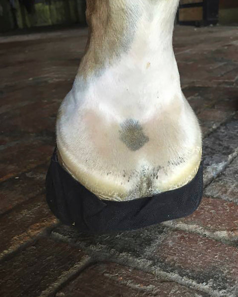 EquiFit® Pack-N-Stick HoofTape