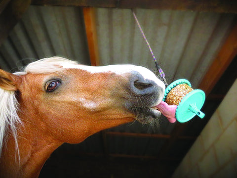 Likit™ Granola Refill