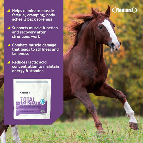 Ramard® Total Lactic Care, Single Serving