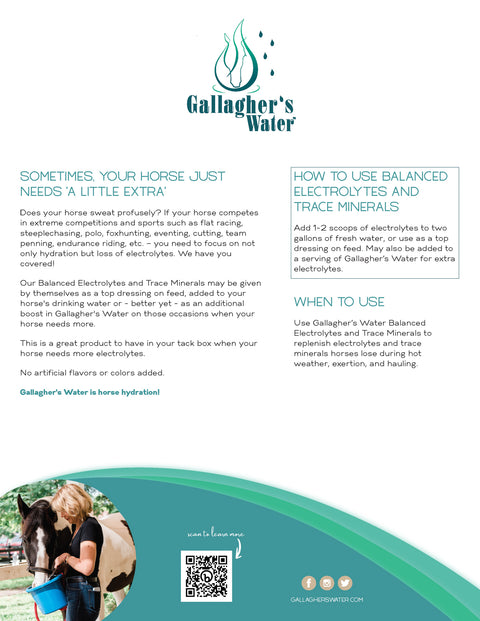 Gallagher’s Water™ Balanced Electrolytes & Trace Minerals