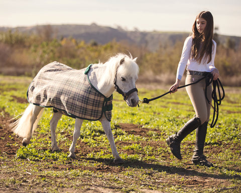Kensington™ Mini Signature Textilene® Protective Fly Sheet