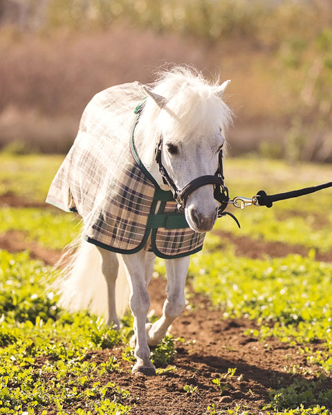 Kensington™ Mini Signature Textilene® Protective Fly Sheet