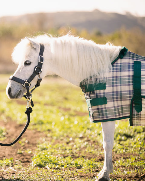 Kensington™ Mini Signature Textilene® Protective Fly Sheet