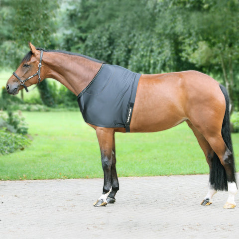 Back on Track® Therapeutic Equine Shoulder Guard with Pads