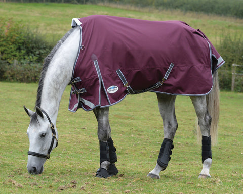 WeatherBeeta® ComFiTec™ Plus Dynamic II Standard Neck Medium-Weight Turnout Blanket