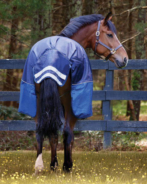 NorthWind™ Heavyweight Turnout Blanket