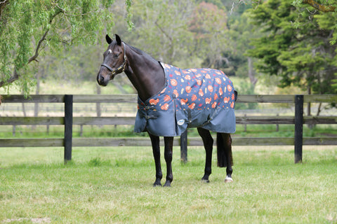 WeatherBeeta® ComFiTec™ Essential Standard Neck Medium-Weight Turnout Blanket