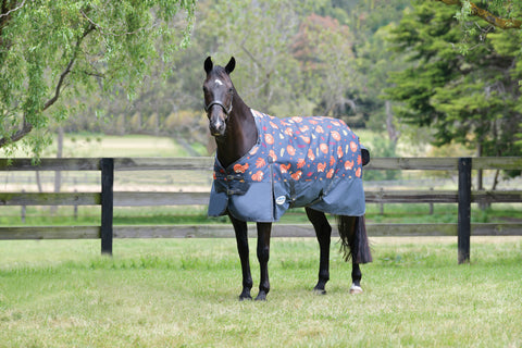 WeatherBeeta® ComFiTec™ Essential Standard Neck Medium-Weight Turnout Blanket