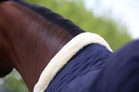 Kentucky Horsewear Show Rug