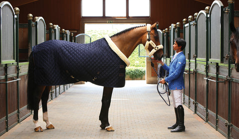 Kentucky Horsewear Show Rug