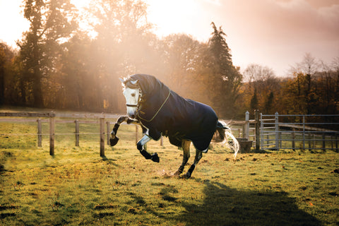 Horseware® Ireland Rambo® Duo Force 2.0 Turnout Blanket