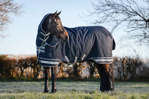 LeMieux® Arika Storm-Tek 200 Gram Turnout Blanket