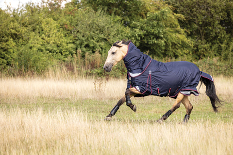 LeMieux® Kudos 100 Gram Turnout Blanket