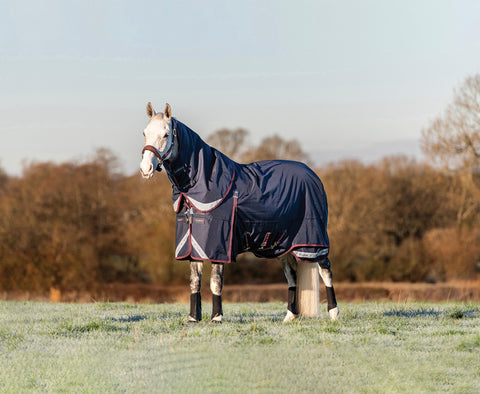 LeMieux® Kudos 200 Gram Turnout Blanket