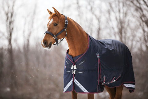 LeMieux® Kudos 350 Gram Turnout Blanket