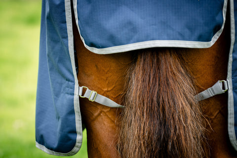 Horseware® Ireland Amigo® Ripstop 900D 50 Gram Standard Neck Turnout