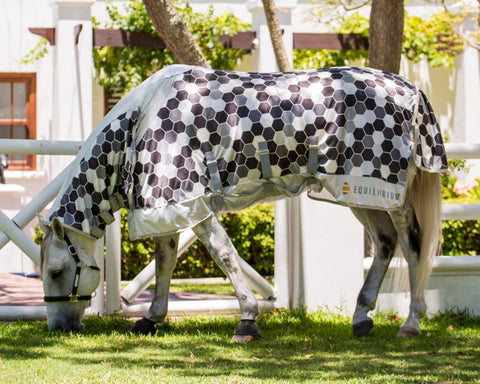 Equilibrium Field Relief Fly Sheet