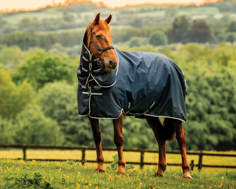 Horseware® Ireland Amigo® Ripstop 900D Plus Pony Turnout Sheet