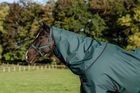 Horseware® Ireland Amigo® Ripstop 900D 100 Gram Plus Pony Turnout
