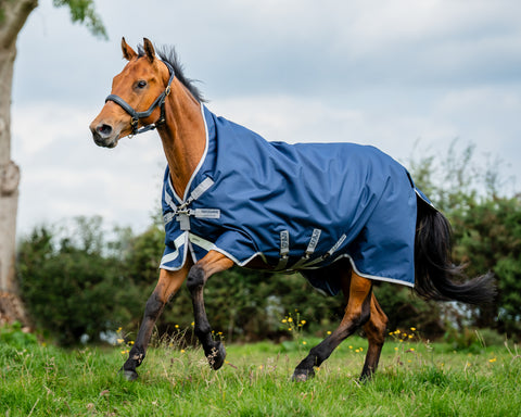 Horseware® Ireland Amigo® 1200D Wug Turnout Sheet