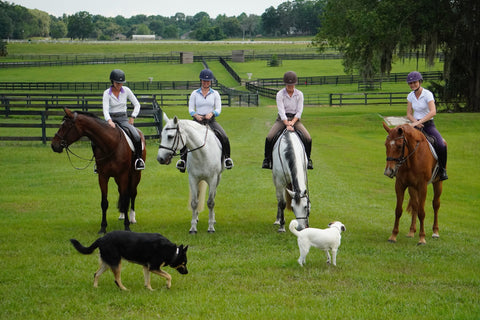 IRH® Equi-Pro Helmet with Sun Visor