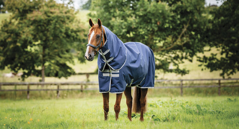 Chestnut horse wearing a blue Amigo turnout sheet with hood standing in a pasture