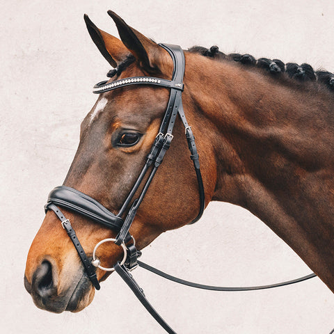 Dressage Tack