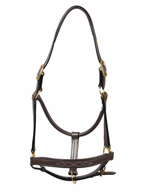 Henri de Rivel Pro Fancy Padded Rolled Throat Triple-Stitched Halter