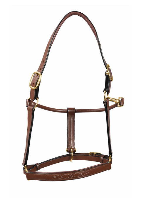 Henri de Rivel Pro Fancy Padded Rolled Throat Triple-Stitched Halter