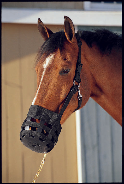 Best Friend® All-In-One Grazing Muzzle