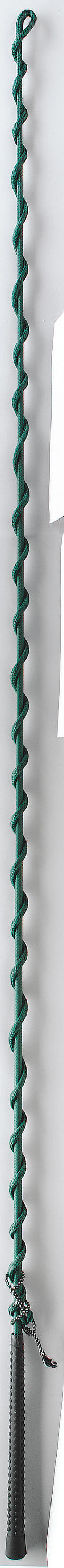 Dublin® Nylon Lunge Whip