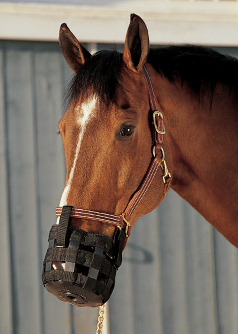 Best Friend® Grazing Muzzle