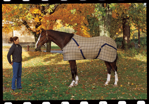 The Original Baker® Stable Blanket