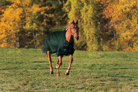 Rider’s International™ Supreme Heavyweight Turnout Blanket
