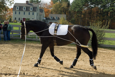 Pessoa Training System