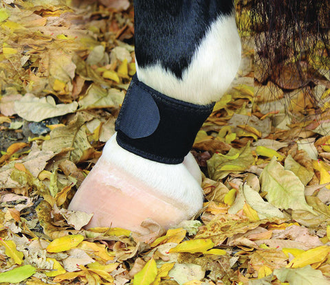 VenTech Pastern Wrap