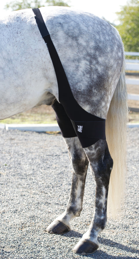 Ice Horse® Stifle Wraps