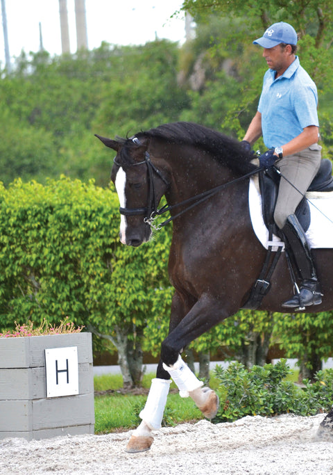 Dressage Sport Boots