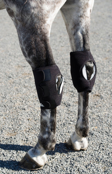Ice Horse® Hock Wraps - Pair