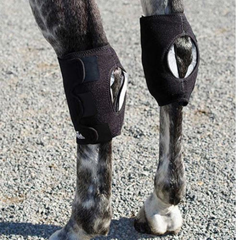 Ice Horse® Hock Wrap