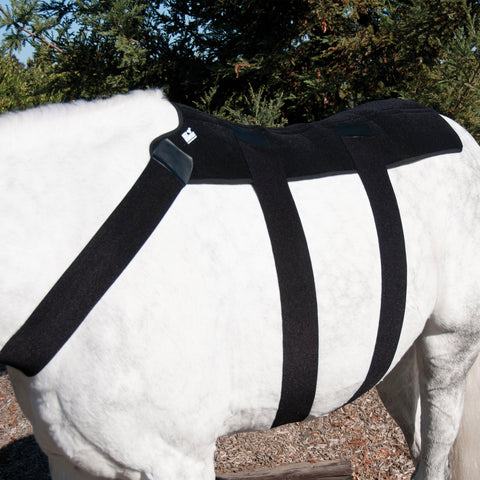 Ice Horse® Back Blanket