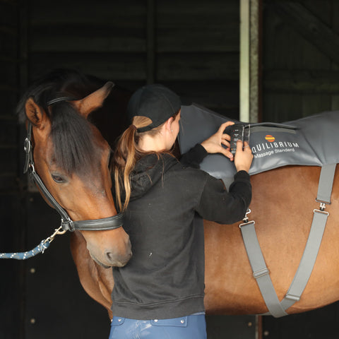 Equilibrium Therapy® Massage Pad (Standard Horse Size)