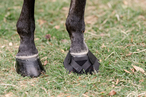 Hoof Wraps™ Bandage