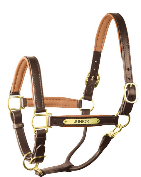 Perri’s® 1" Padded Leather Halter