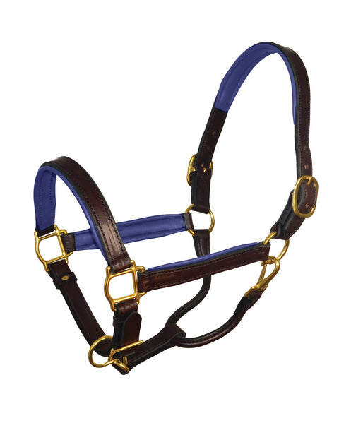 Perri’s® 1" Padded Leather Halter