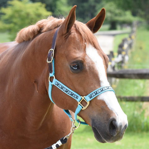 Perri’s® Ribbon Trim Breakaway Halter
